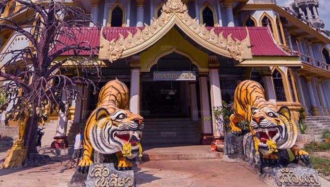  تور تایلند - رسپینا 24